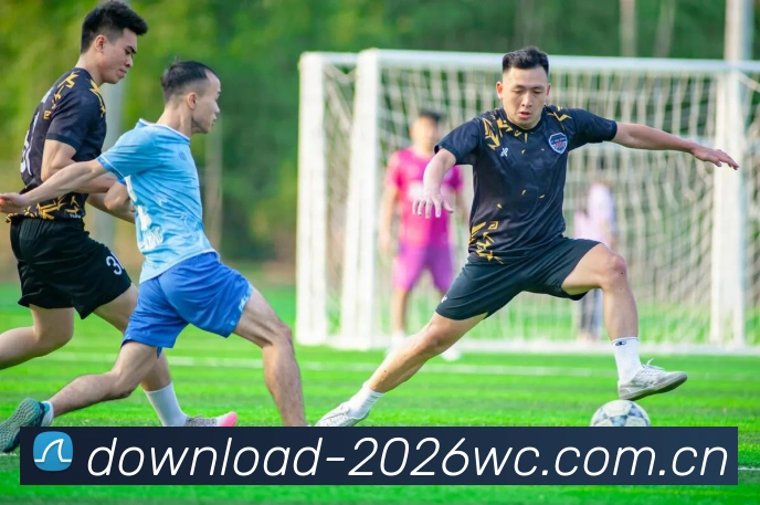 FIFA官方数据授权证书